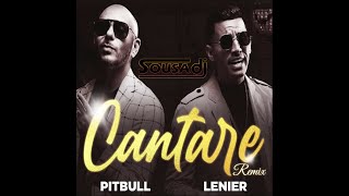 Pitbull ft Lenier  Cantare DJ Sousa Remix [upl. by Avram558]