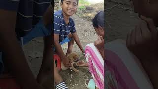 Ammama vala enti dagara Diwali Holidays funny comedy fun reels tranding village life happy [upl. by Seni74]