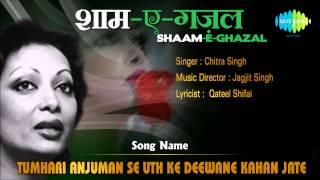 Tumhari Anjuman Se Uth Ke Deewane Kahan Jate  ShaamEGhazal  Chitra Singh [upl. by Ahsiryt843]