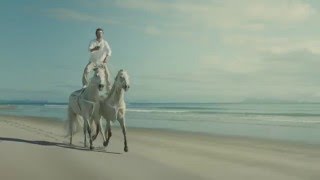 Horses  Bingle Car Insurance Commercial 2016 [upl. by Joselow]