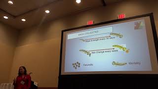 Gresham What is the adaptive value of males in a selffertilizing hermaphroditic fish [upl. by Hamil897]