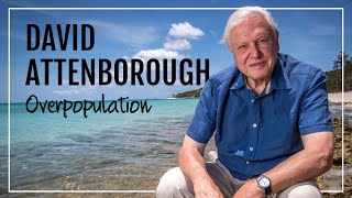 David Attenborough on Overpopulation [upl. by Nosaj]