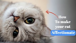 How to Make Your Cat Affectionate  8 Effective Tips [upl. by Lavina]