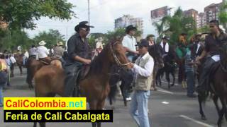 Feria de Cali  Horse Parade  Colombia [upl. by Mathias]