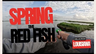 Spring time red fishing in Delacroix Louisiana catching them in ways i never have before [upl. by Otrevire]