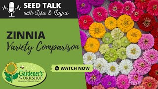 Seed Talk 44  Zinnia Variety Comparison [upl. by Amada]