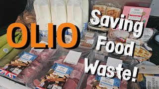 Olio Collection ☆ Saving Food Waste ☆ Free Food ☆ OLIO App [upl. by Francis213]