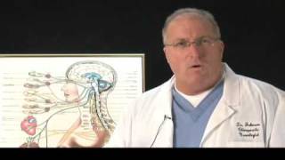 Chiropractic Video with Dr Michael L Johnson Appleton WI [upl. by Sloane594]