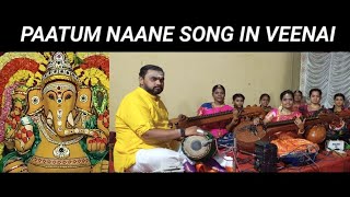 Pattum Nanne Song In Veenai  Thiruvilayadal Movie  Veenai PKShuveatha veenai music carnatic [upl. by Dunston]