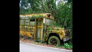 EXPLORING A ABANDONED SCHOOL BUS [upl. by Astrid]