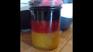 Deutschland Marmelade aus dem GourmetMaxx Thermo Multikocheer 9 in 1 [upl. by Enigroeg289]