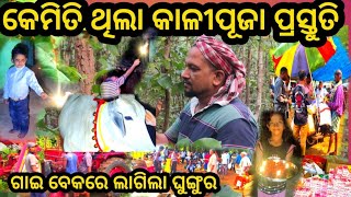 କାଳୀ ପୂଜାରେ ଗାଇ ବେକରେ ଲାଗିଲା ନୂଆ ପଘା ଓ ଘୁଙ୍ଗୁର ‼️Bandanaparab ❗happydiwali2024 diwalispecial [upl. by Essy]