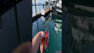 This is why you NEVER get in the water scary ocean alaskafishing [upl. by Caitrin301]