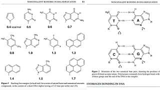 The Chemistry of DNA Replication How Hydrogen Bonds and Base Stacking Ensure Genetic Fidelity [upl. by Olive]