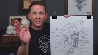 Facial Anatomy for Artists  𝐃𝐢𝐬𝐬𝐞𝐜𝐭𝐢𝐨𝐧 𝐃𝐫𝐚𝐰𝐢𝐧𝐠 𝐋𝐚𝐛 𝟏𝟎𝟏 [upl. by Savihc362]