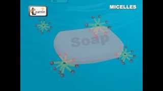 Soap Micelles Formation  Science [upl. by Estel]