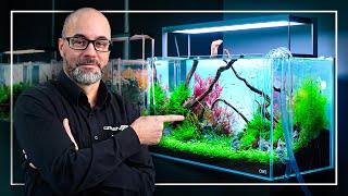 A Perfect Tutorial to Start Your FIRST Planted Aquarium [upl. by Ahsenal]