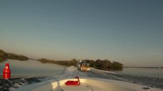 Early morning trip on the homosassa river [upl. by Artie957]