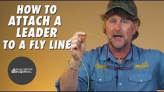 How To Attach A Leader To A Fly Line [upl. by Elletsyrc]