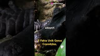 5 Fakta Unik Genus Crocodylus Genus Buaya dengan Spesies Terbanyak hewanunik buaya buayabesar [upl. by Anselma24]