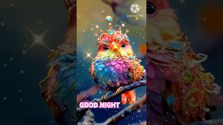 GOOD NIGHT video [upl. by Liamaj322]