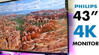 Philips BDM4350UC 43quot 4K IPS Monitor  Quick Look [upl. by Nlocnil63]