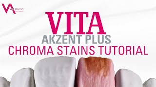 VITA AKZENT Plus CHROMA STAINS Tutorial [upl. by Terriss]