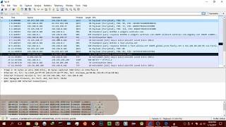 Wireshark Tutorial for Beginners  Installation [upl. by Falzetta]