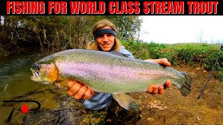 World Class Stream Trout Fishing [upl. by Hanoj]