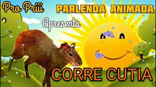 Parlenda Corre Cutia animação infantil Pro Priii [upl. by Lipp]