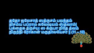 NARAYANEEYAMDASAKAM11TAMIL by sdrrj [upl. by Kaltman]