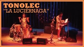 TONOLEC  quotLa Luciernagaquot en vivo [upl. by Oigimer]