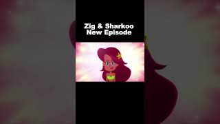 Zig And Sharko New Episode  Cartoon For Kids  kids [upl. by Ot]