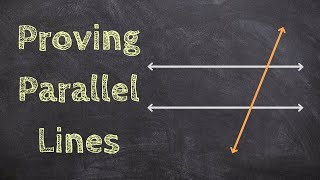 What are the Angle Relationships for Parallel Lines and a Transversal [upl. by Airegin]