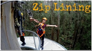 Otway Fly Treetop Adventures Zip Lining HD [upl. by Parsaye]