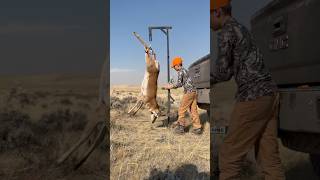 The back saver 1000 HME hitch hoist makes loading game so easy fieldtofork hunting antelope [upl. by Oderfigis856]