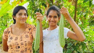 Luffa ridge gourd curry to lunchdilicious healthy village foods ceylon life style [upl. by Naerb]