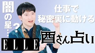 【6月仕事運】頑張りは報われる？異動や転職にはいい時期？暮れの酉が鳳凰数術で占う｜心のリトリート“酉さん占い“｜ ELLE Japan [upl. by Lahcim232]