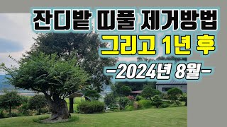 잔디밭 띠풀 제거방법 그리고 1년 후  2024년 8월 지리산골 작은정원 [upl. by Shandra]