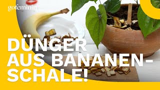 Bananenschalen Dünger ohne Chemie [upl. by Margarette]