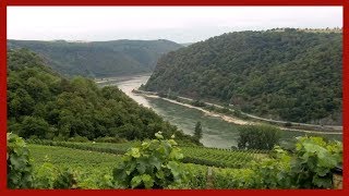 Romantischer Rhein  LoreleyPremiumRundtour Rheinsteig [upl. by Azile]