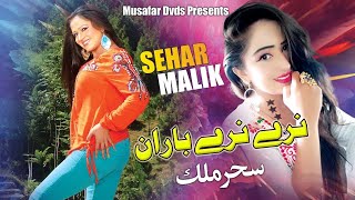 Narey Narey Baran  Pashto Song  Sehar Malik OFFICIAL Video Song [upl. by Grati50]