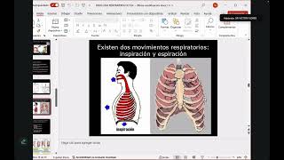 Cursillo de neumología 1 [upl. by Enrico]