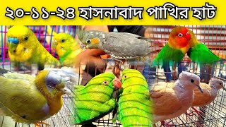 ২০১১২০২৪ হাসনাবাদ পাখির হাট। hasnabad pakhir hathasnabad hatbird marketbird price in Bangladesh [upl. by Nivalc]