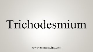 How To Say Trichodesmium [upl. by Dougald]