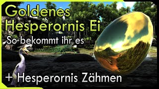 Goldenes Hesperornis Ei so bekommt ihr es   Hesperornis zähmen in ARK Survival Evolved [upl. by Clorinde]