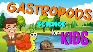 Gastropods  Science for Kids [upl. by Ydoj]