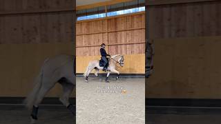 Das hat Spaß gemacht 🥰🐴 pferd horse pferde equestrian shorts haflinger [upl. by Nnyliram]