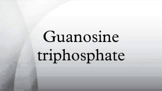 Guanosine triphosphate [upl. by Atirihs530]