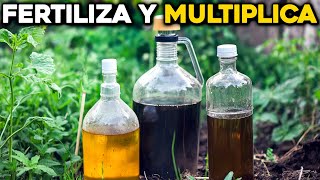 Crea tus propios Fertilizantes Líquidos caseros en minutos [upl. by Ardnuahs]